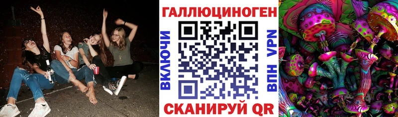 Псилоцибиновые грибы Cubensis  купить наркоту  Кяхта 